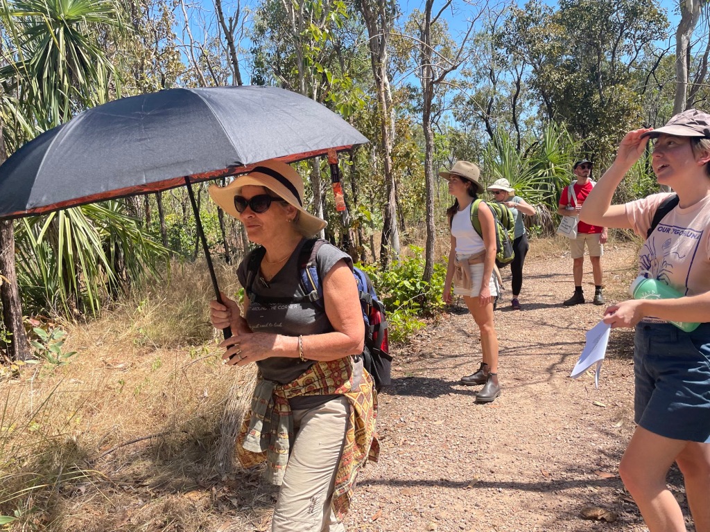 (Re)walking Rapid Creek (Darwin node)